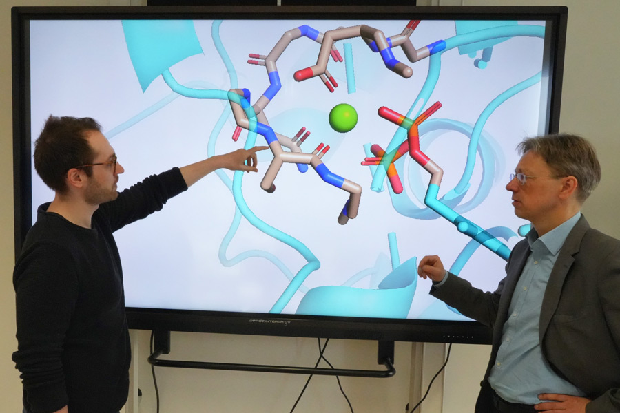 Künstliche Photosynthese für umweltschonende Nahrungsmittelproduktion